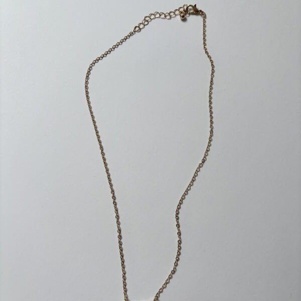 Golden Whispers Neckless