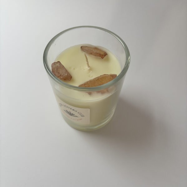 Self Love Booklover Candle