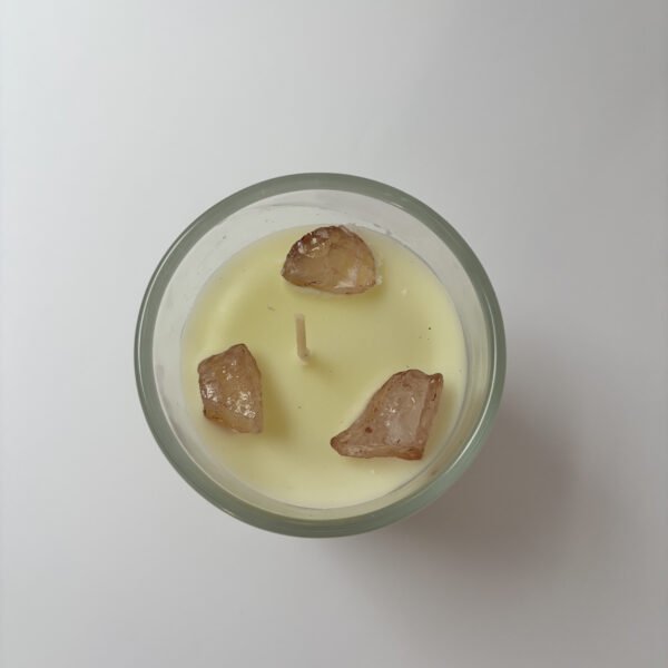 Self Love Booklover Candle